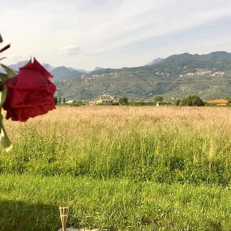 La Marinella Hotel Tonfano Kültér fotó