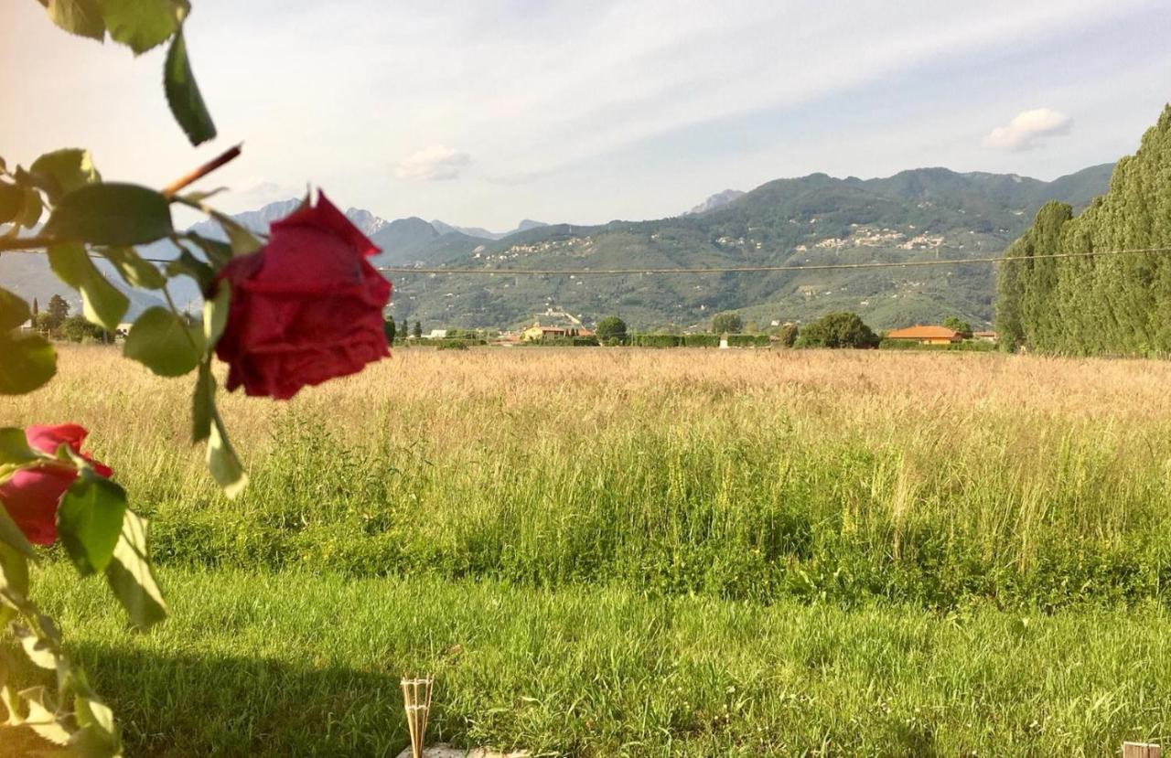 La Marinella Hotel Tonfano Kültér fotó